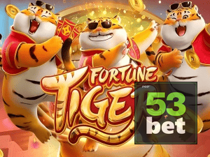 Guia install APK 53BET BR